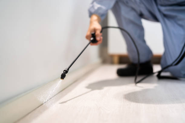 Certified termite inspector examining foundation in Arapahoe