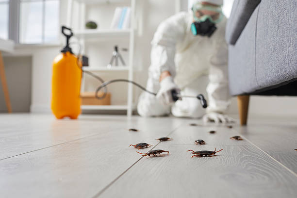 Commercial Kitchen Cockroach Control in Arapahoe